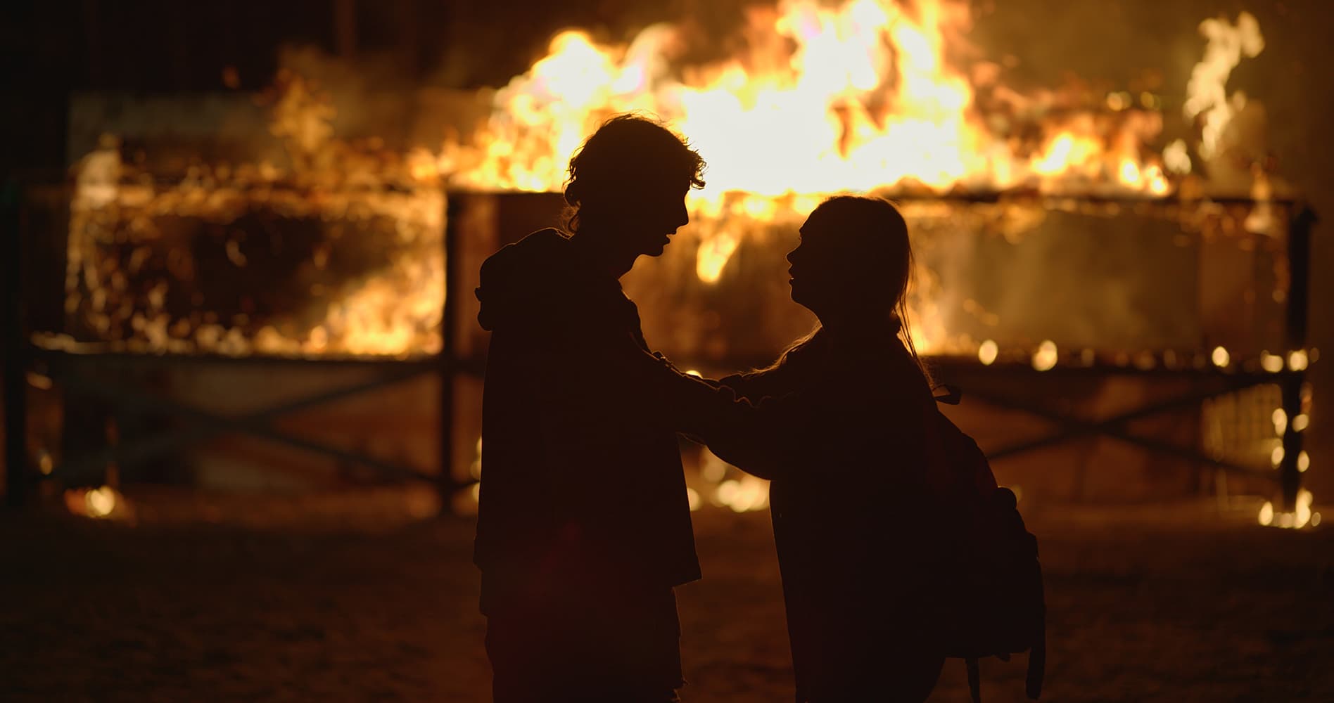 Poster for The Burning Season