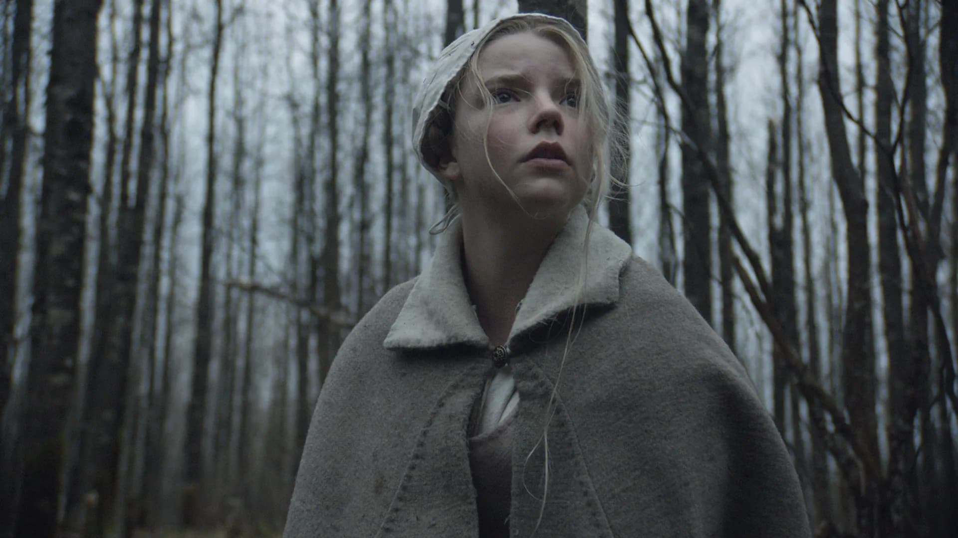 Poster for The Witch